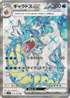 Gyarados EX 91